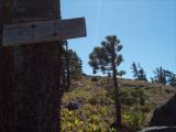 PCT_L2S_20070812_091646.jpg