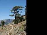 PCT_L2S_20070812_112858.jpg