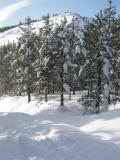IMG_4828.JPG