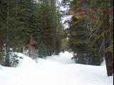 100_0317.JPG