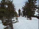 100_0331.JPG