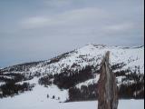 100_0337.JPG