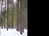 100_0343.JPG