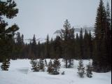 100_0353.JPG