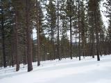 100_0365.JPG