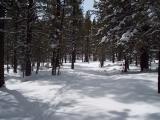 100_0368.JPG