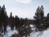 100_0369.JPG