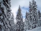 100_0387.jpg