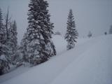 100_0388.jpg