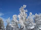 100_0173.jpg