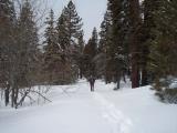 100_0685.JPG
