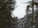 100_0690.JPG