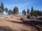 Bordertown_20070204_095052.jpg