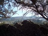 Bordertown_20070204_100414.jpg