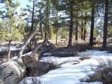 Bordertown_20070204_104826.jpg