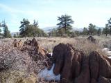 Bordertown_20070204_105122.jpg