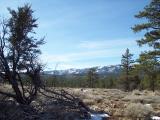Bordertown_20070204_105258.jpg
