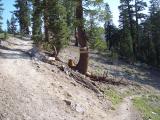 BasinPeakLoop_20070708_083514.jpg