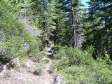 GC_20060618_153344.jpg