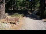 JonesWhiteLoop_20060910_091758.jpg