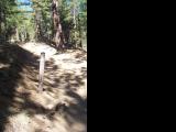 JonesWhiteLoop_20060910_101048.jpg