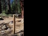 JonesWhiteLoop_20060910_104530.jpg