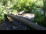 JonesWhiteLoop_20060910_115300.jpg
