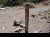JonesWhiteLoop_20060910_124330.jpg