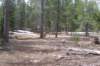 mtlola1_20060521102142_small.jpg