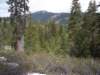 mtlola1_20060521104458_small.jpg