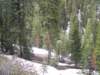 mtlola1_20060521105412_small.jpg