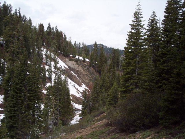 mtlola1_20060521105428.jpg