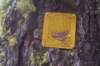 mtlola1_20060521105746_small.jpg