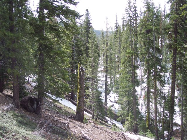 mtlola1_20060521111122.jpg