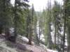 mtlola1_20060521111122_small.jpg