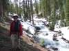 mtlola1_20060521111518_small.jpg
