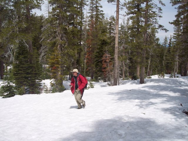 mtlola1_20060521114820.jpg