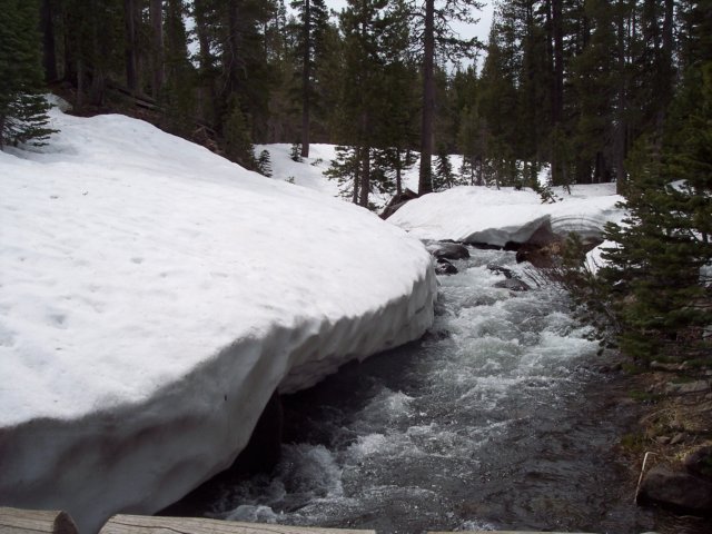 mtlola1_20060521115602.jpg