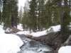 mtlola1_20060521120202_small.jpg