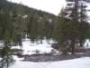 mtlola1_20060521121610_small.jpg