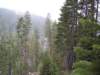 mtlola1_20060521122950_small.jpg