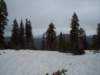 mtlola1_20060521123722_small.jpg
