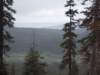 mtlola1_20060521123816_small.jpg