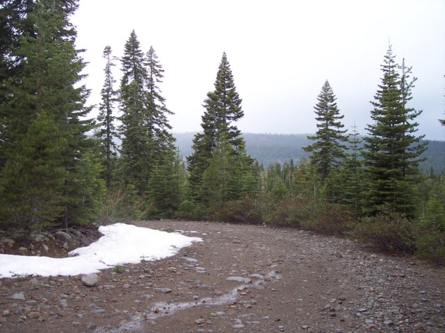 mtlola1_20060521125804.jpg