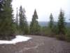 mtlola1_20060521125804_small.jpg