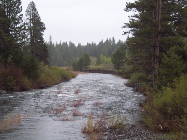 mtlola1_20060521135748.jpg