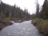mtlola1_20060521135802_small.jpg