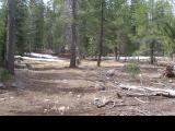 MtLola1_20060521102142.jpg
