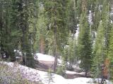 MtLola1_20060521105412.jpg