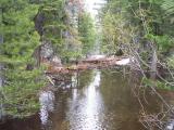 MtLola1_20060521130528.jpg